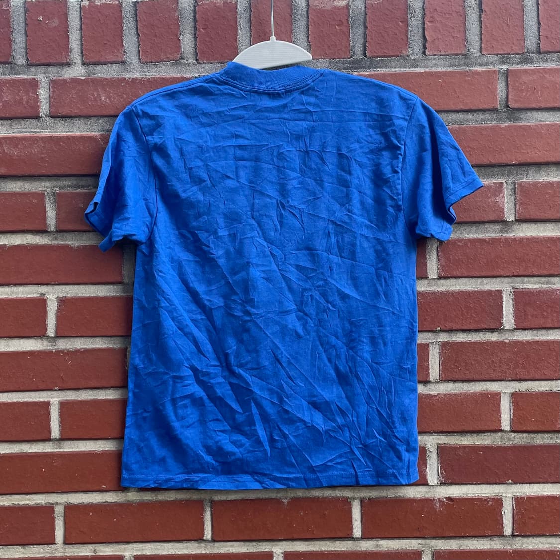 Hanes 마사페콰 반팔 티셔츠 블루 상품이미지2