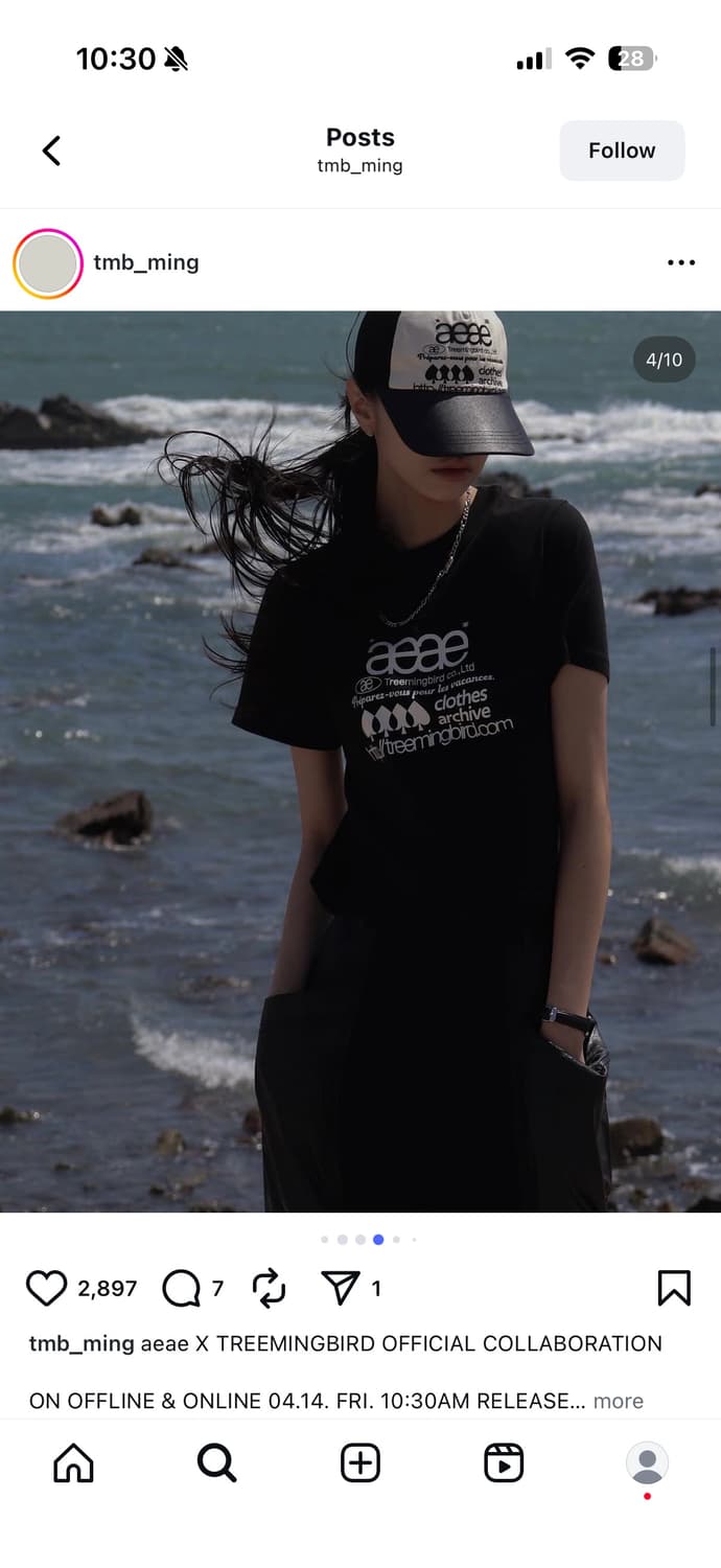 aeae x treemingbird web logo crop t 상품이미지5