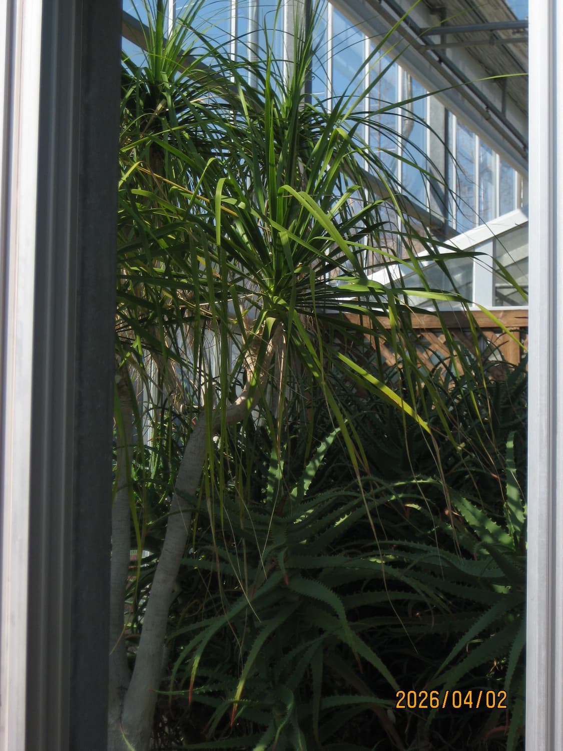 캐논 익서스 75 상품이미지4