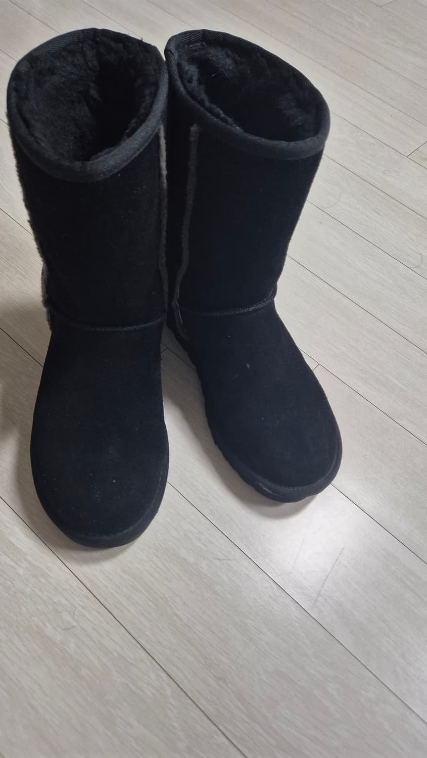 UGG CLASSIC SHORT SHEARLING LOGO 240 상품이미지4