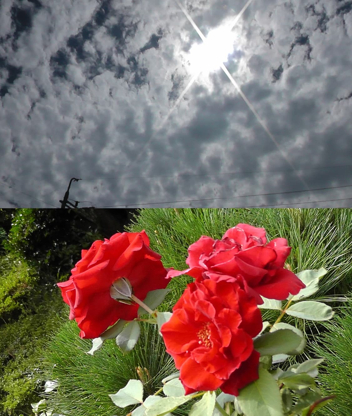 (셀카가능)파나소닉 hdc-sd80 캠코더 상품이미지5