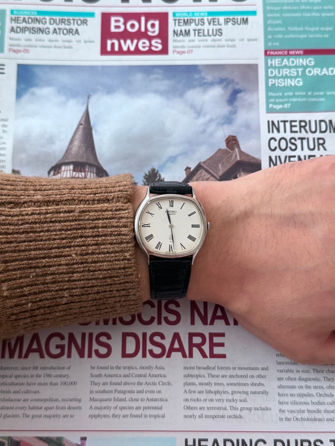 Seiko 세이코 Roman index  White Diel 상품이미지6