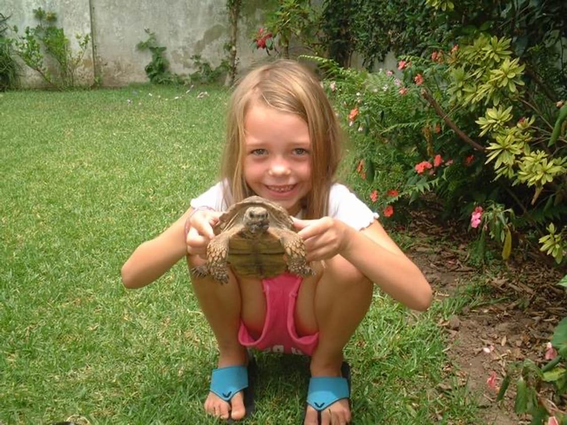 신동품 99% 후지필름 파인픽스 40i 상품이미지2