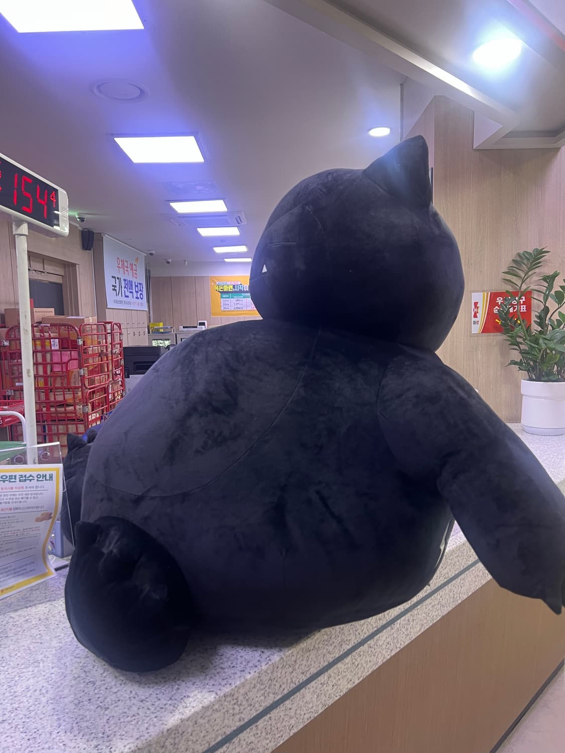 프라그먼트 잠만보 초대형 XL 상품이미지2