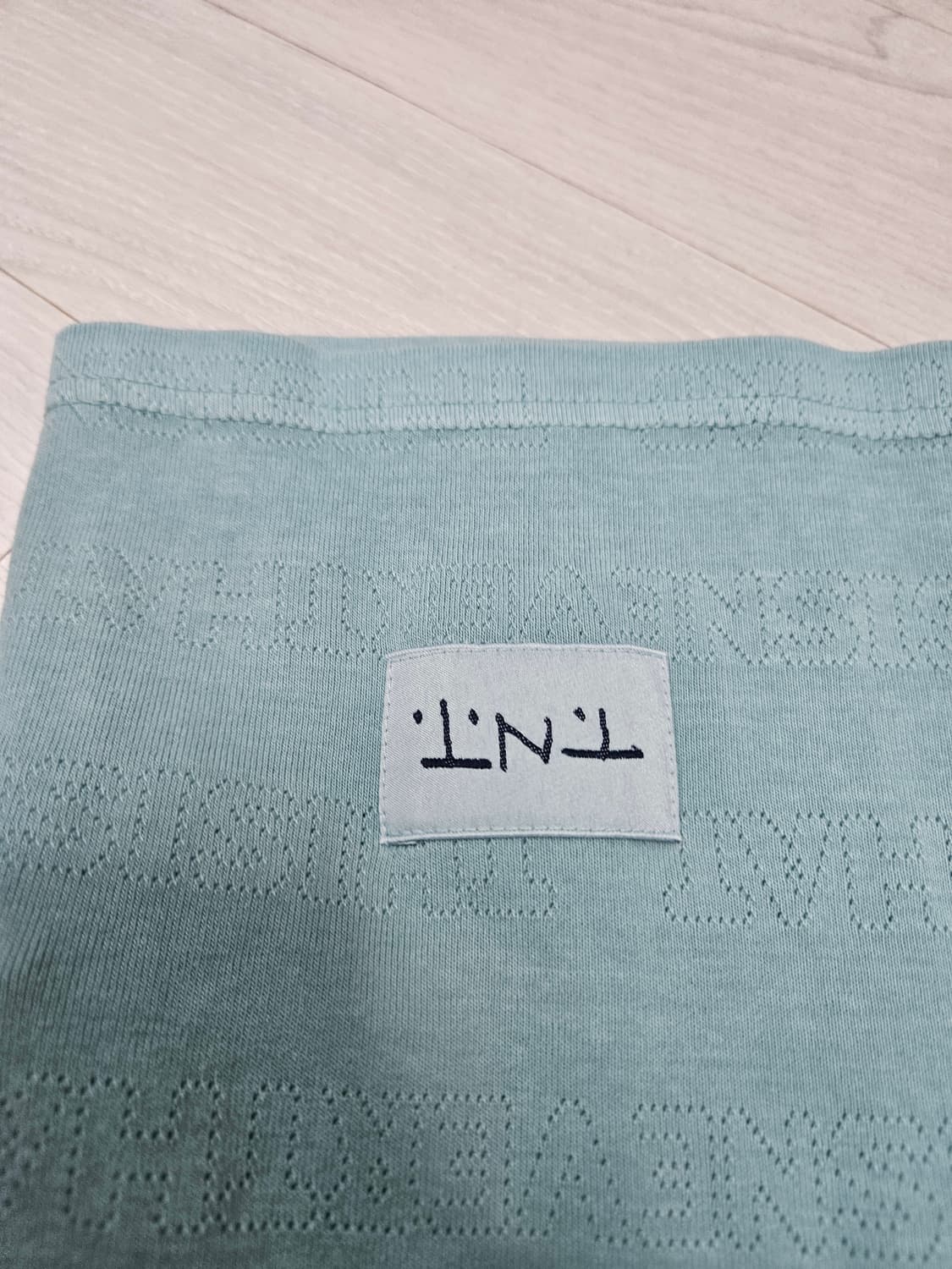 디스이즈네버댓 민트 텍스트 티셔츠 XL 상품이미지7