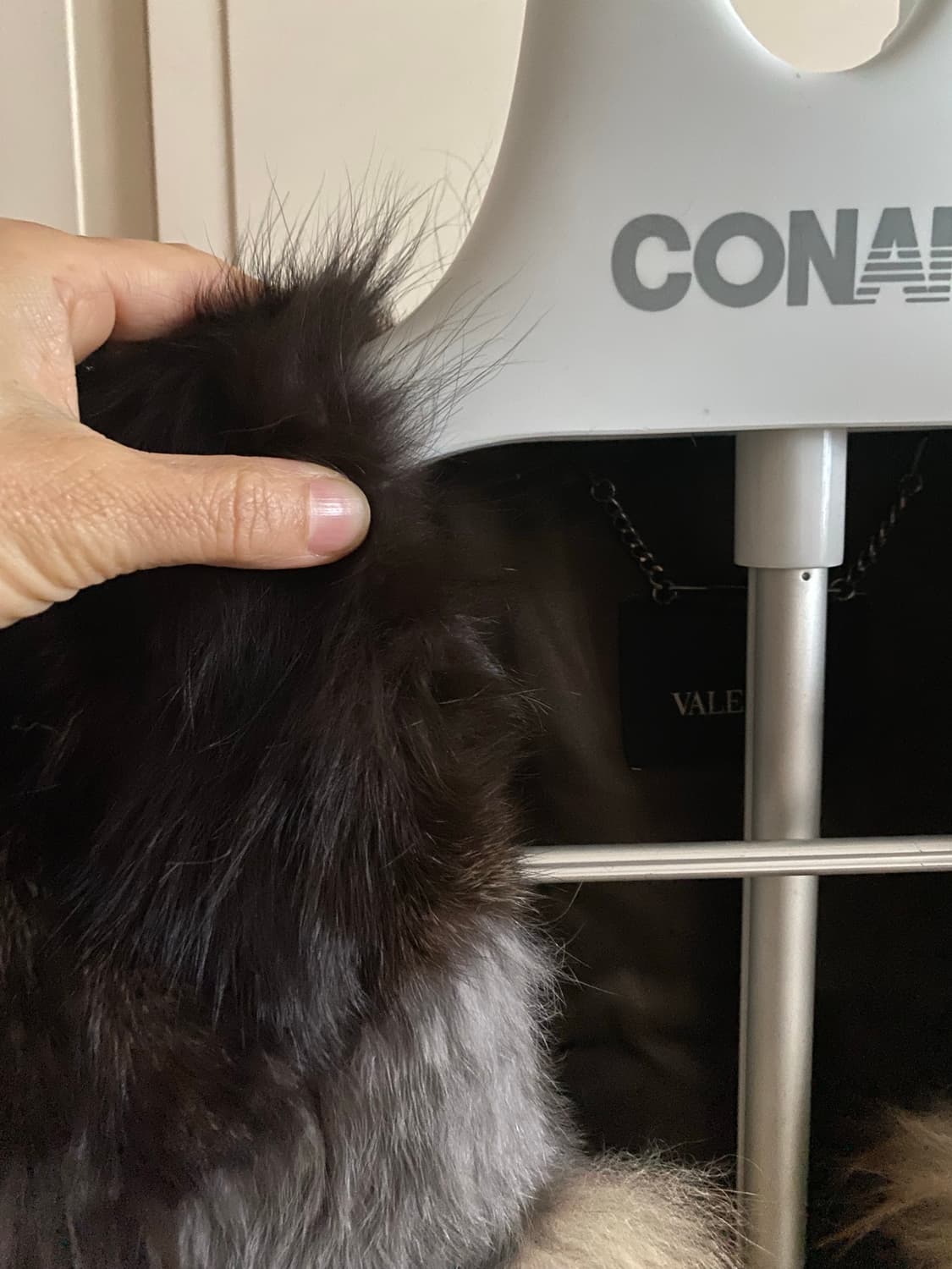 발렌시아 퍼 베스트 55(정품) 상품이미지9