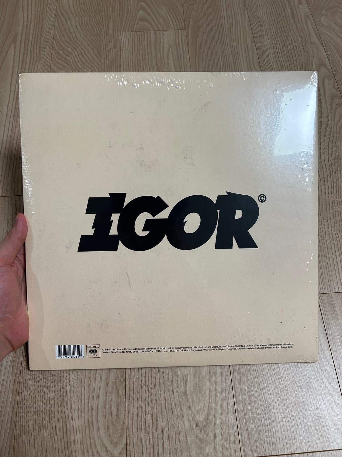 타일러 더 크리에이터 IGOR 한정판 LP 상품이미지2