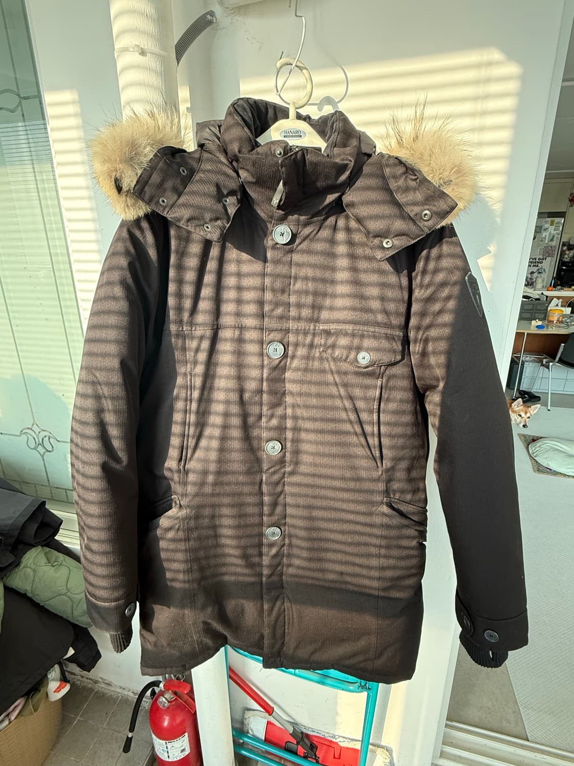 노비스 조한 라지 상품이미지1