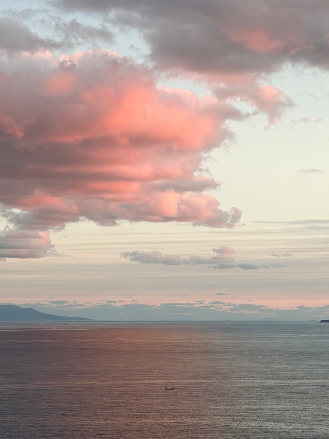 ✨Panasonic LUMIX  파나소닉 루믹스 DMC-FX60 핑크디카 상품이미지10