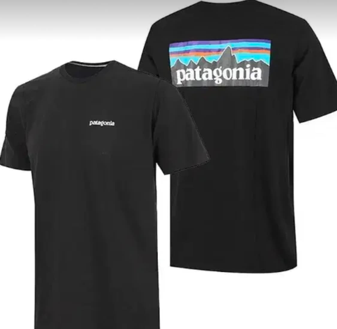 파타고니아 반팔티 상품이미지2