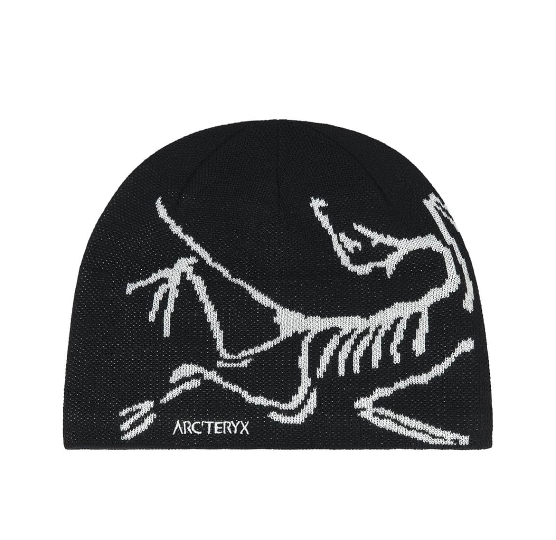 아크테릭스 비니 상품이미지1