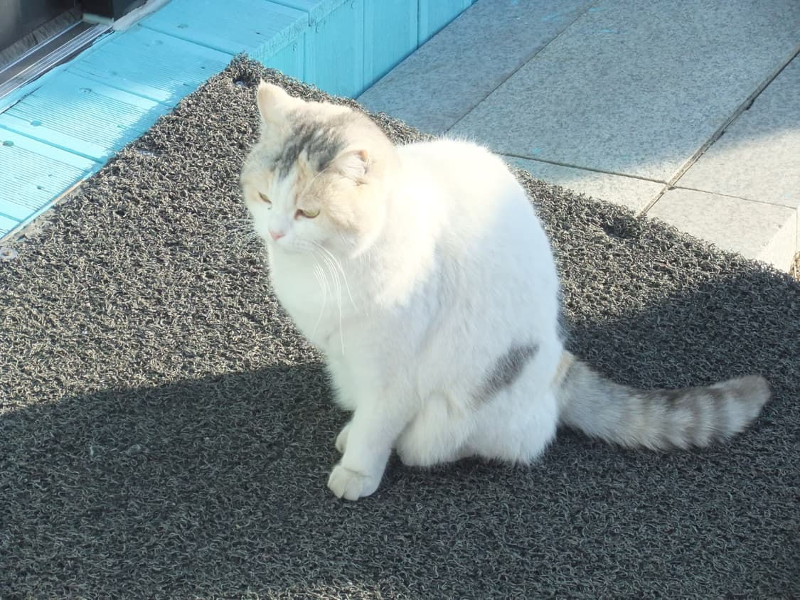 [아일릿원희!] 후지필름 파인픽스 F70exr 실버 디지털카메라 상품이미지9