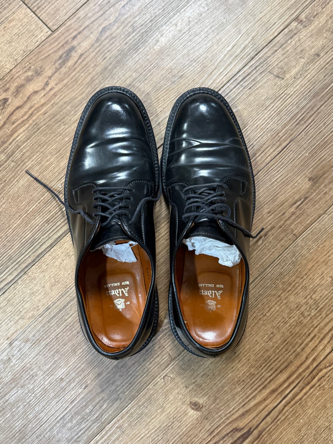 알든 9901 코도반 판매합니다 상품이미지1