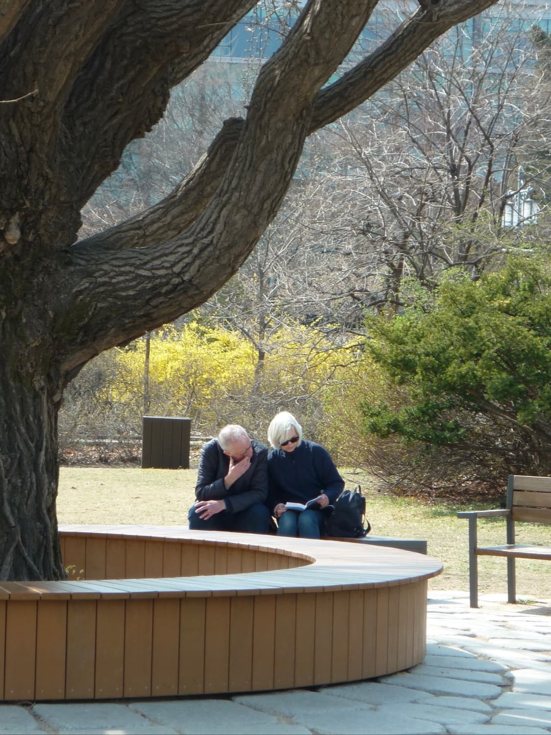 파나소닉 루믹스 DMC-TZ3 빈티지디카 디카  상품이미지2