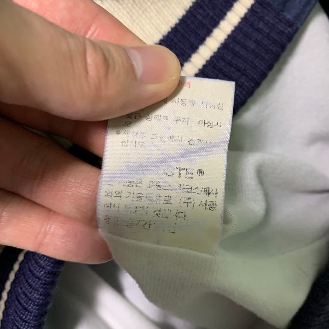 라코스테 빅로고 바시티 자켓 상품이미지8