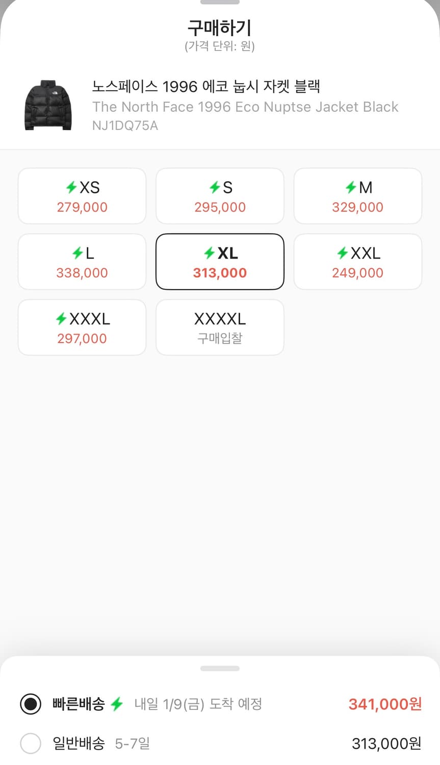 (새상품) 노스페이스 - 1996 에코 눕시 패딩 상품이미지9