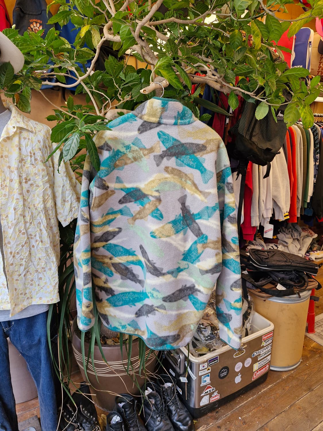 Z-325 파타고니아  상품이미지2