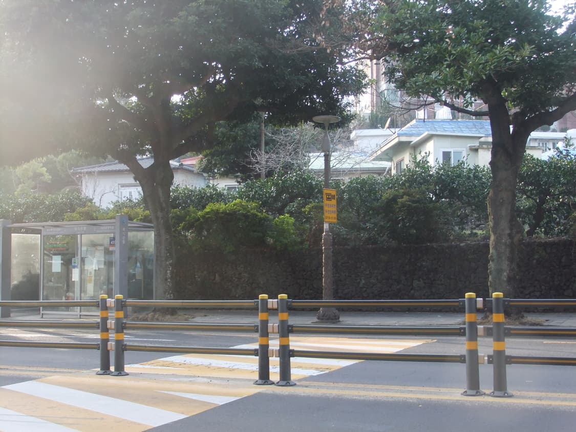 [조이 pick/작례] 후지필름 파인픽스 F80EXR 상품이미지8