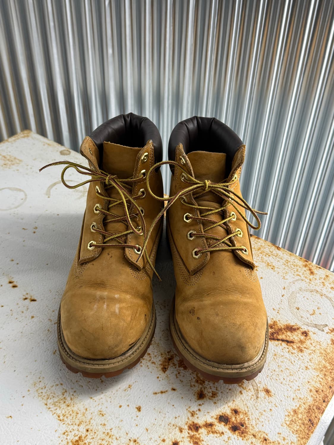 팀버랜드 6인치 프리미엄 워터프루프 위트 누벅 부츠 (230-240) 상품이미지4