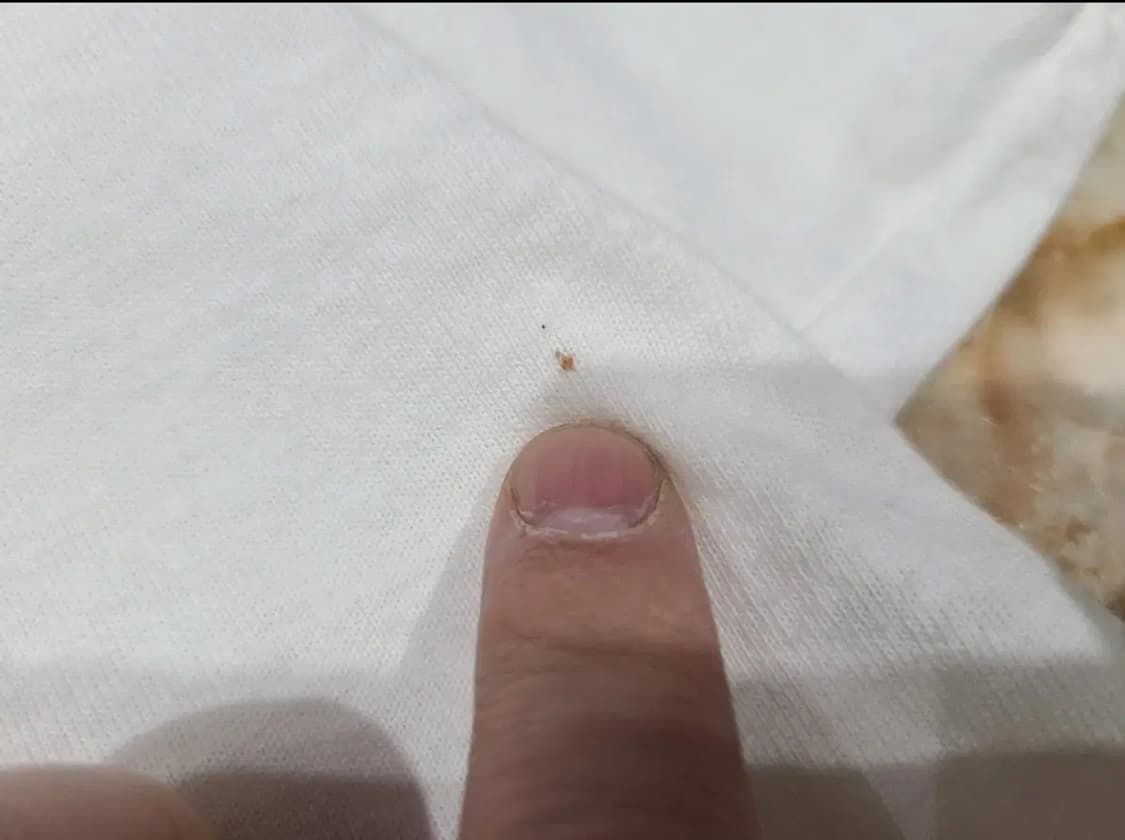 나이키 데니스 로드맨 빈티지티셔츠 상품이미지8