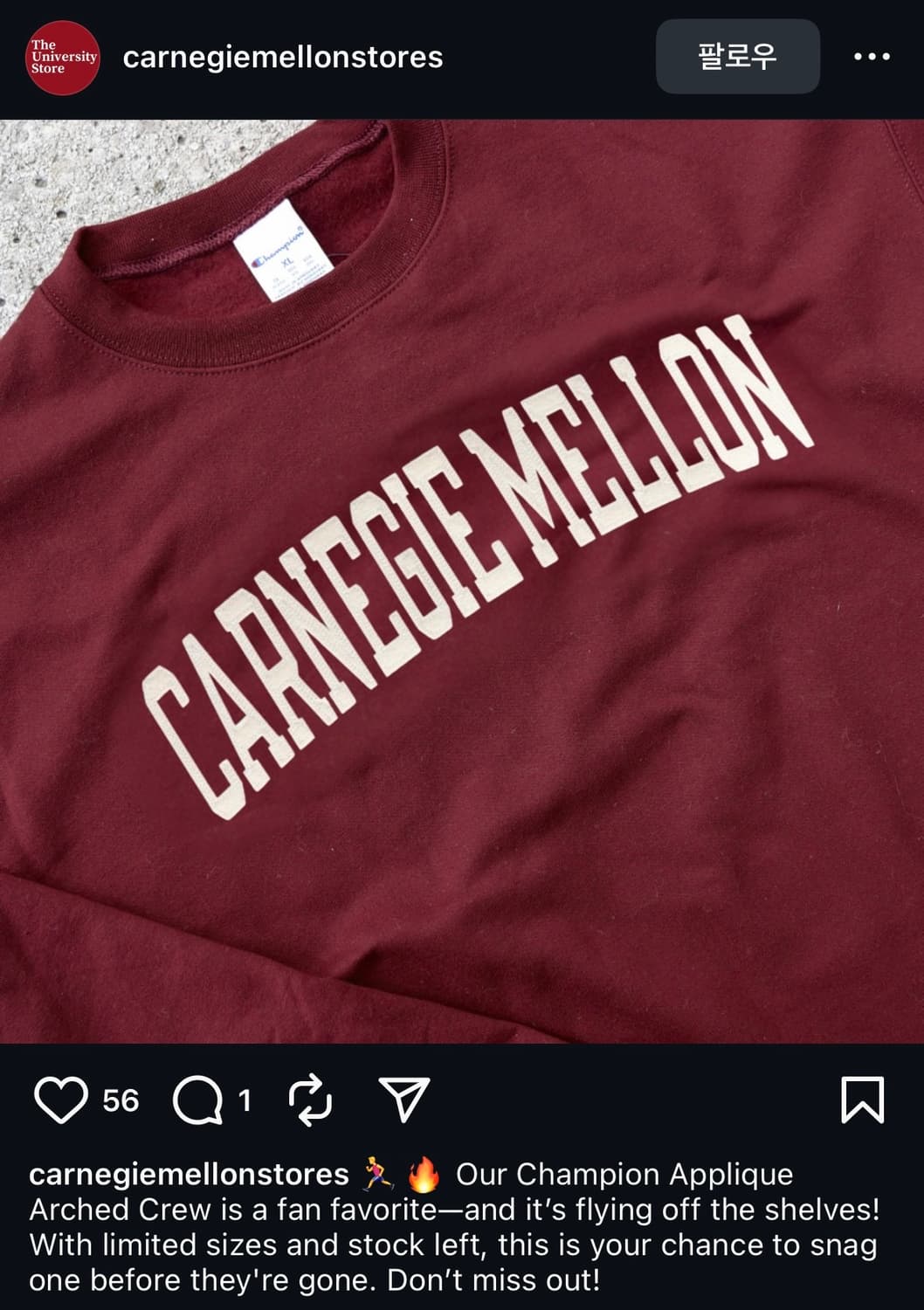 (신품) 챔피온 carnegie mellon 맨투맨 상품이미지3