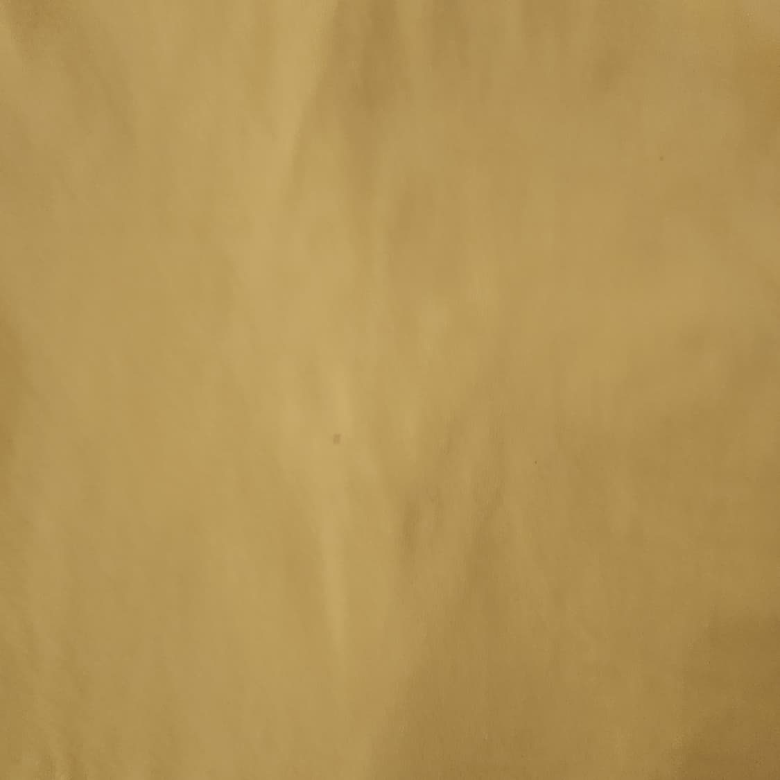 MSGM 반팔티셔츠 (총장61/가단50.5) 상품이미지5