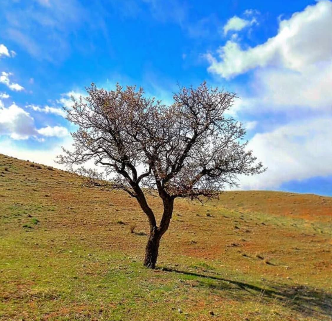 Nikon Coolpix S6400 니콘 쿨픽스S6400 상품이미지6