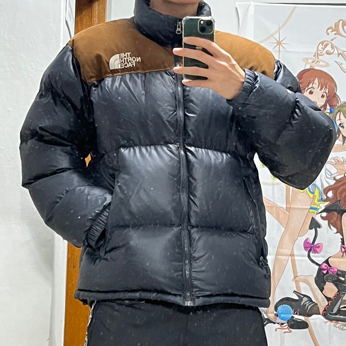 노스페이스 한정판 눕시  상품이미지3