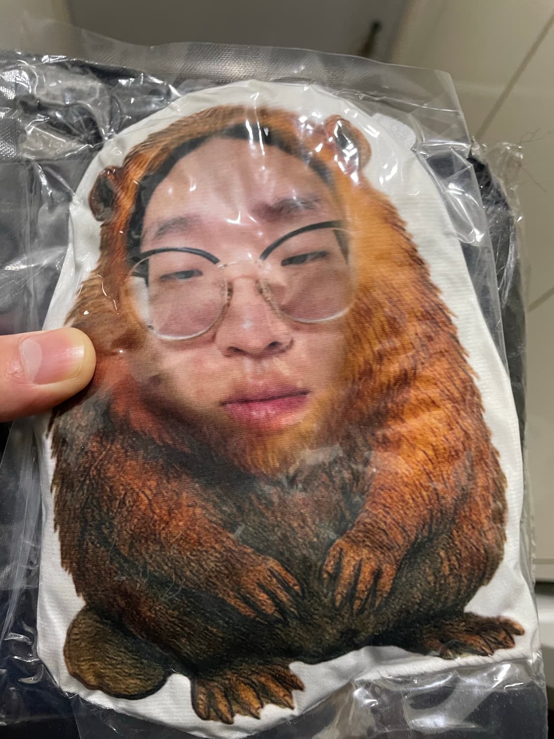 베이프 토널 솔리드 다운 자켓 패딩 상품이미지3