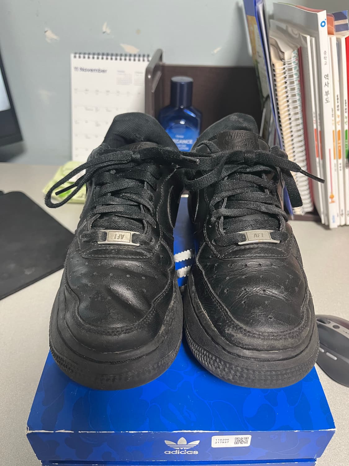 나이키 올검포스 250 상품이미지1