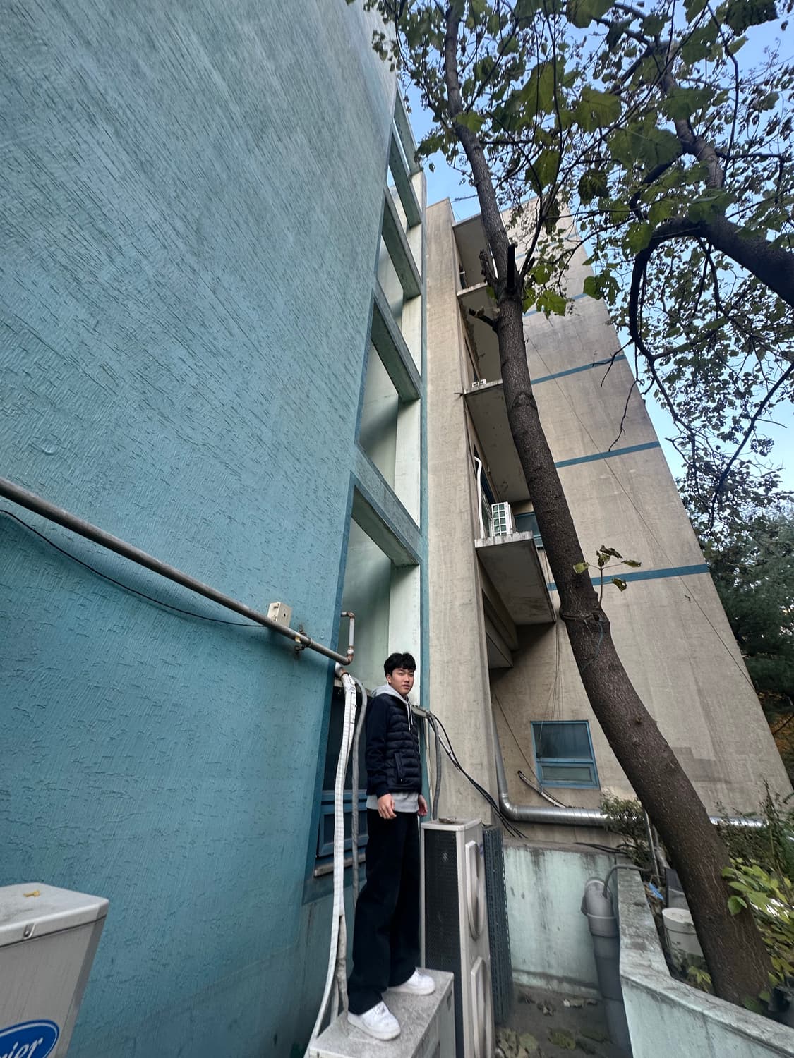 타미 힐피거 니트패딩 95 착샷 상품이미지8