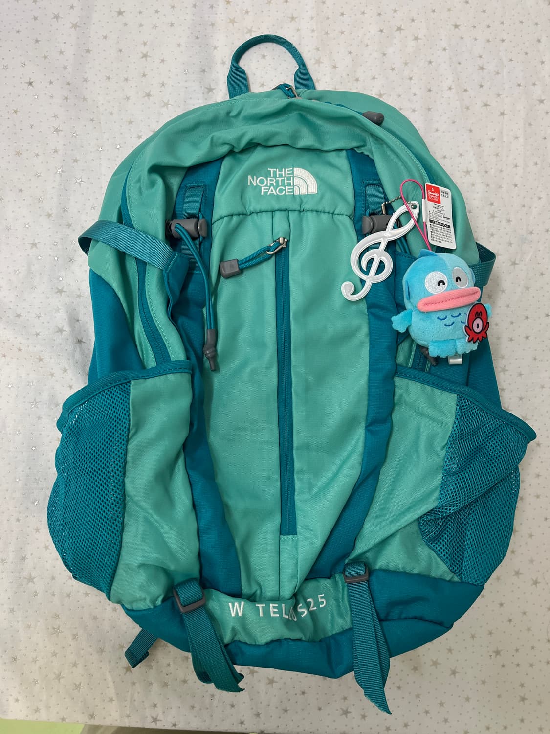 한교동 노스페이스 백팩 TELLUS 25 🌀 상품이미지10