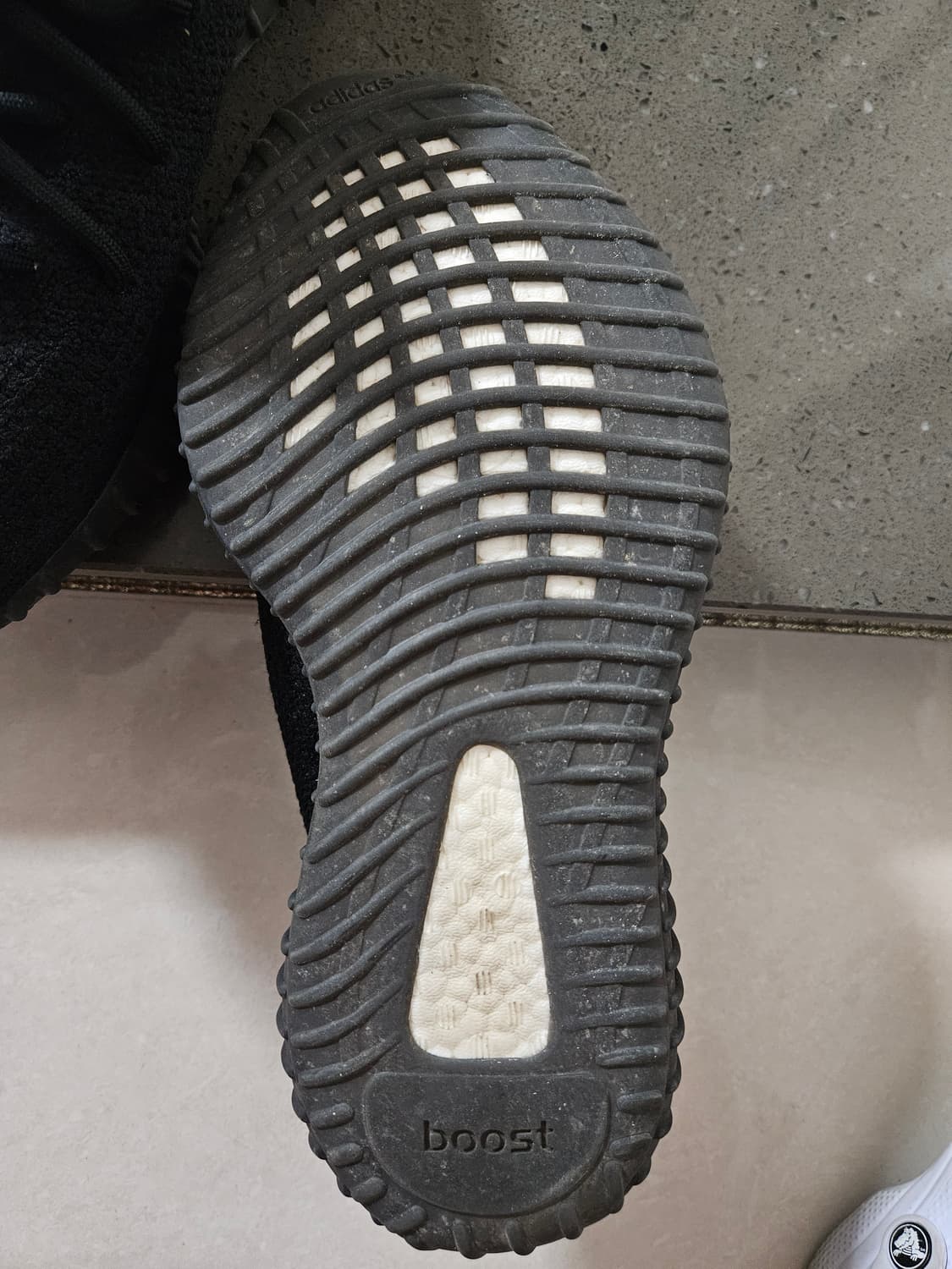 이지 350  브레드 상품이미지4