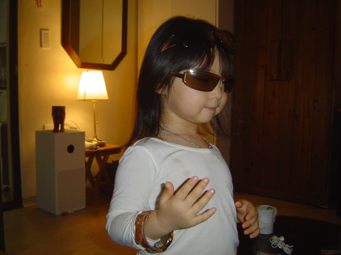 사이버샷 DSC-P8 2500장 메모리 상품이미지5