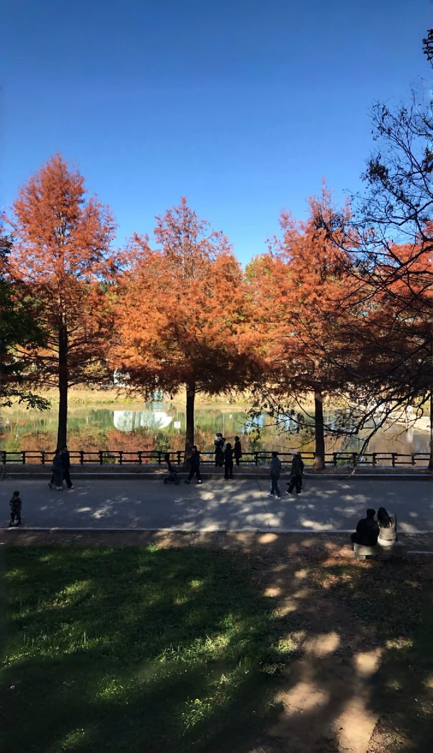 아이폰7 128기가 로즈골드 상품이미지5