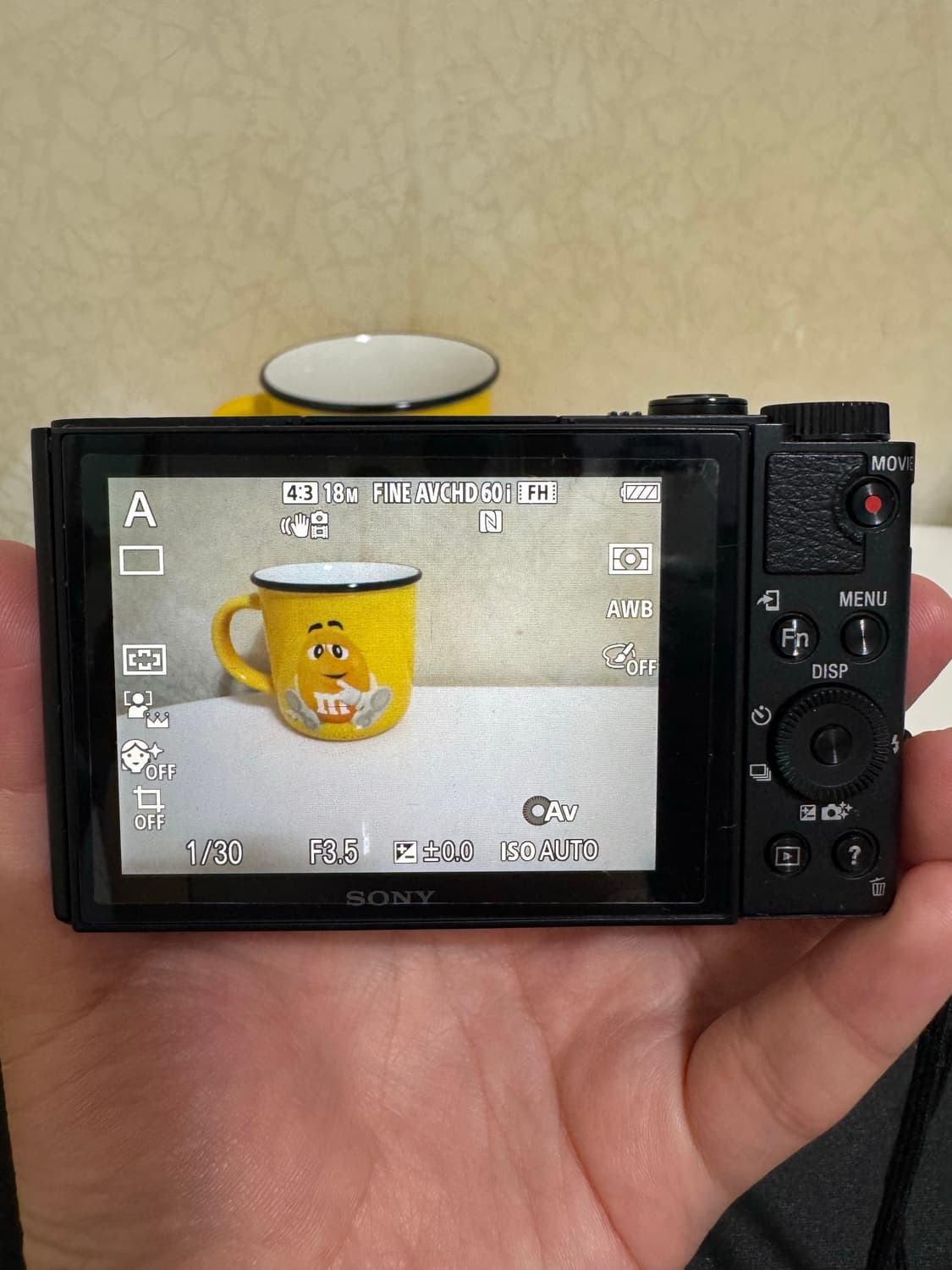 소니 DSC-WX500 디카 상품이미지2