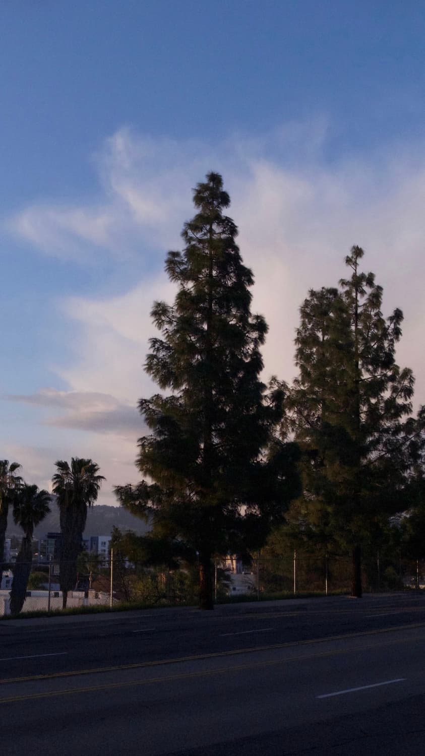 라이카 한정판 d-lux5 titanium 상품이미지5