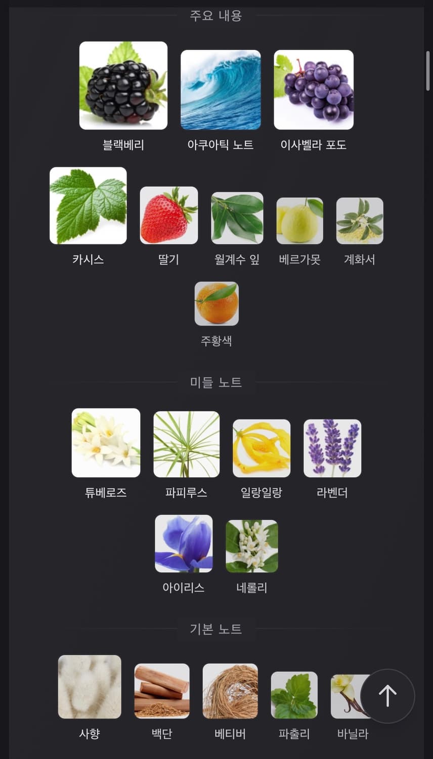 브루노 페루치 옥토버 레이크 Oktober lake 50ml 상품이미지2