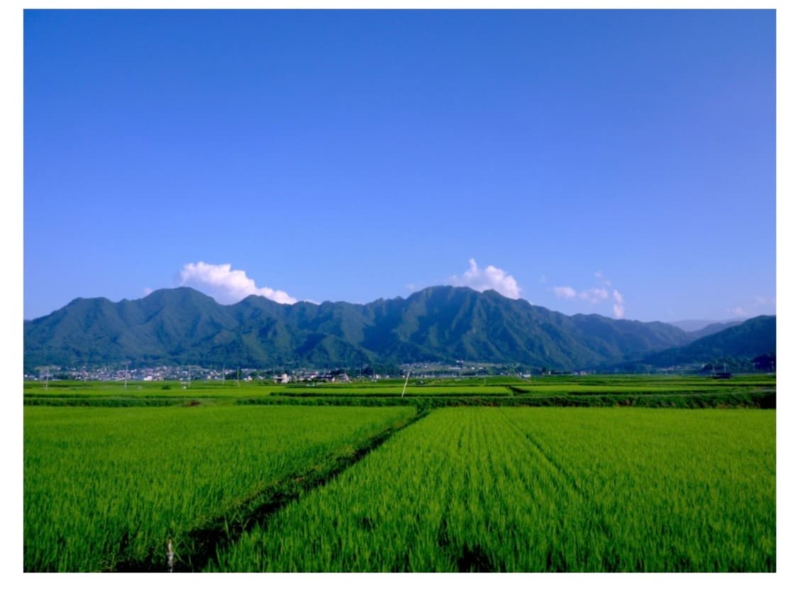 파나소닉 루믹스 FX60 라이카렌즈 박스셋 상품이미지6