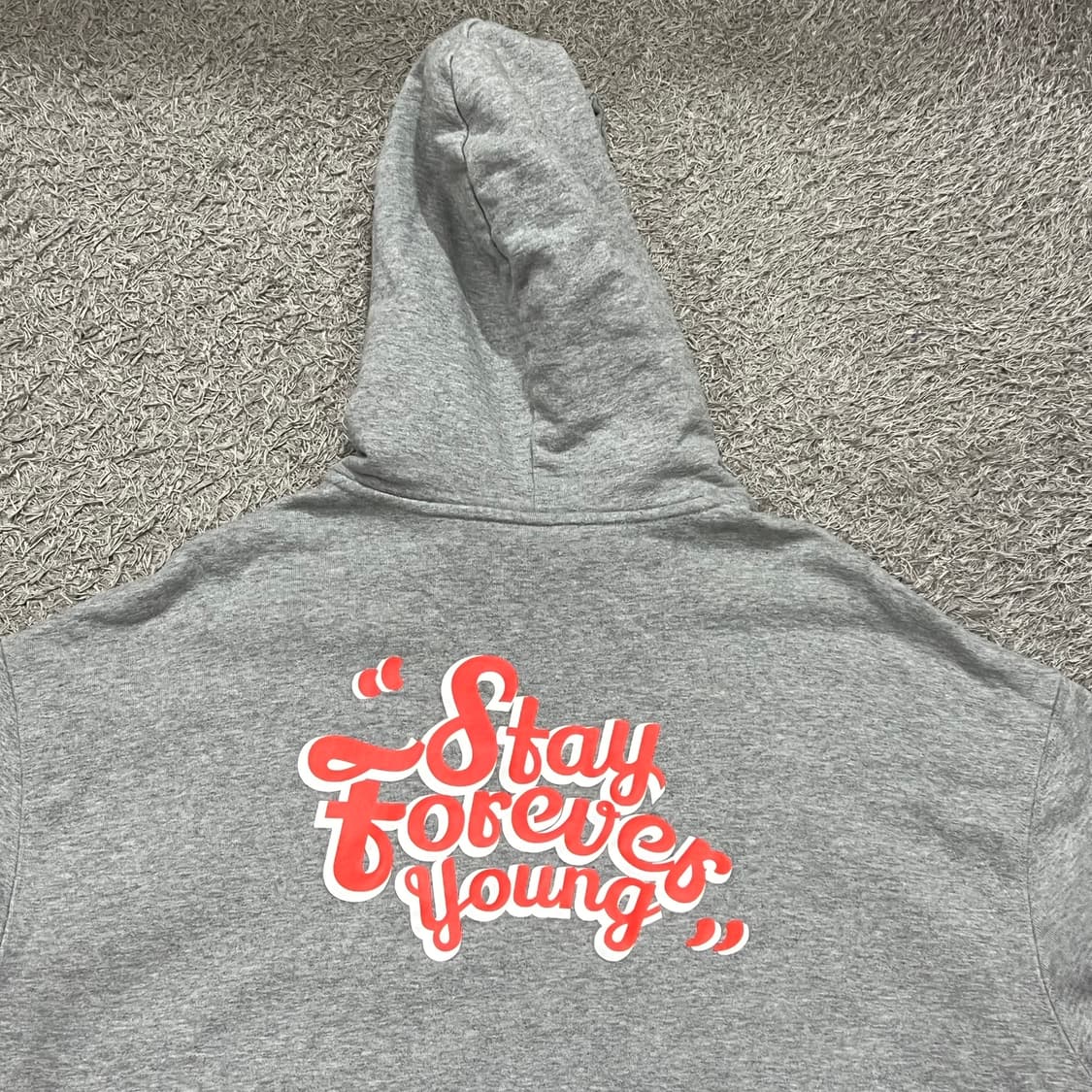 [100] 널디 후드집업 상품이미지3