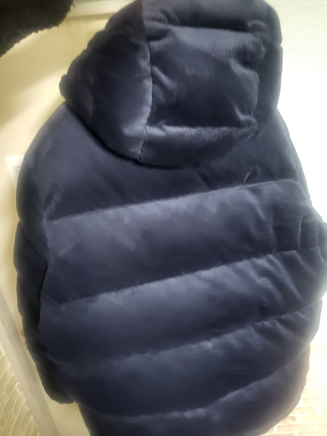 폴로 랄프로렌 패딩 상품이미지2