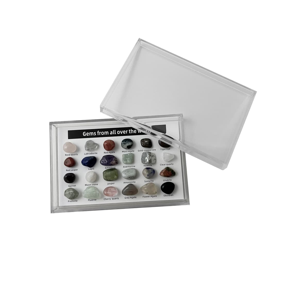 Gem Specimen Archive 상품이미지3