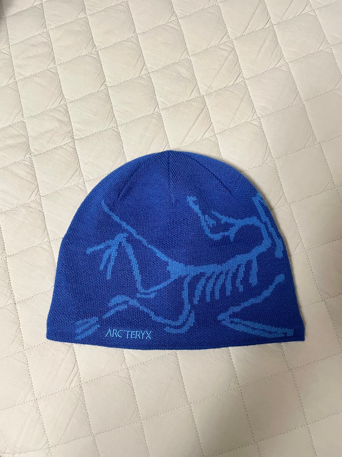 아크테릭스 비니 상품이미지1