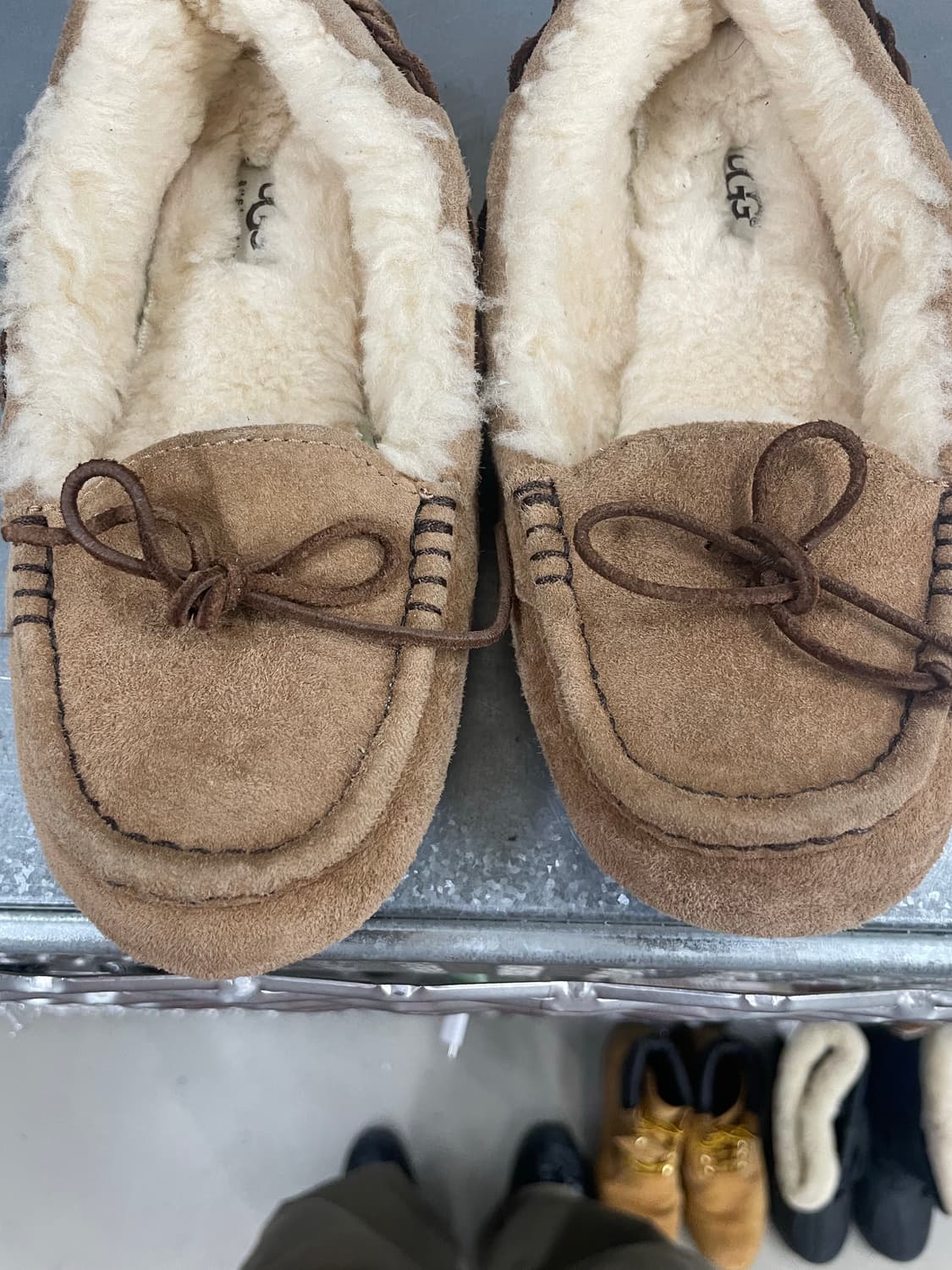 어그 벨라II 체스트넛 25cm 상품이미지7