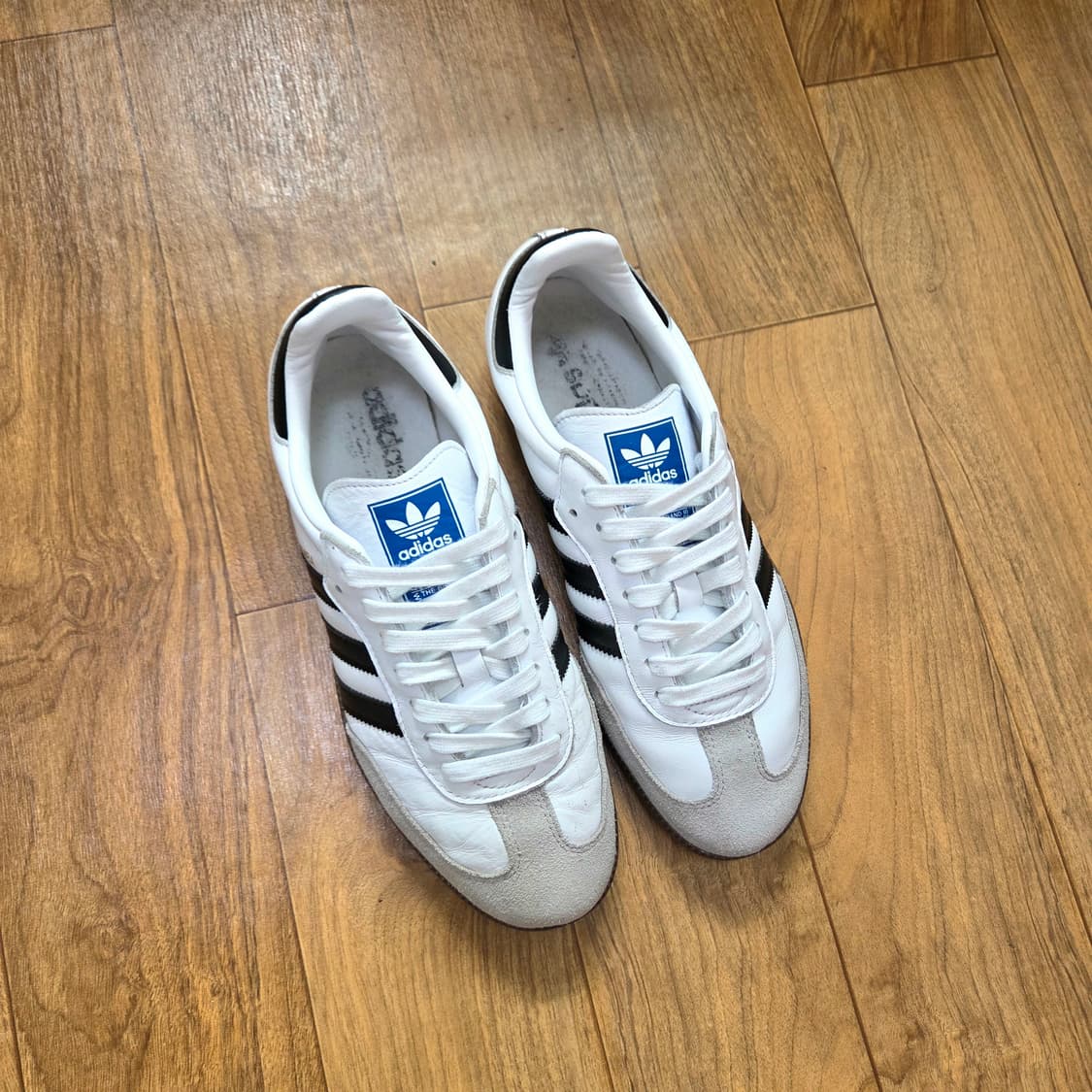 아디다스 삼바  상품이미지3