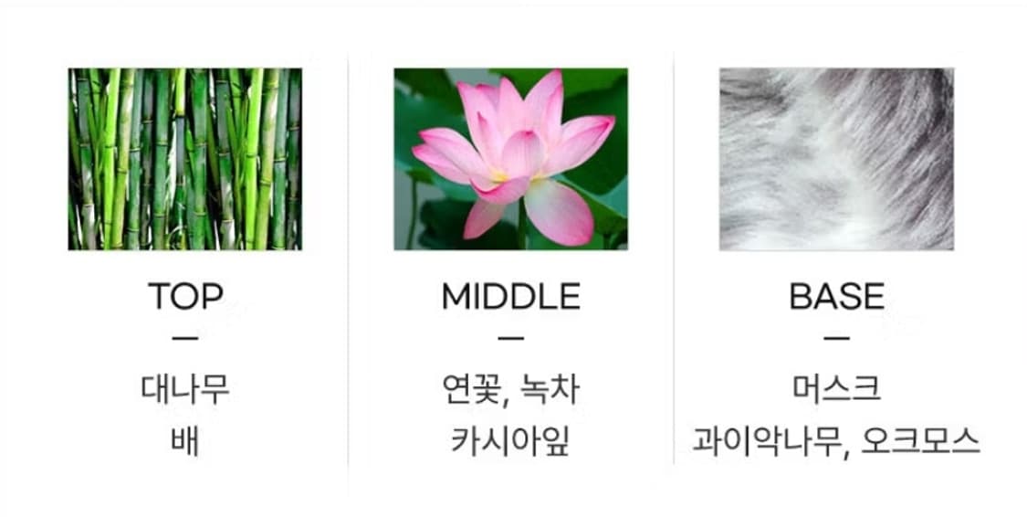 불가리옴니아 크리스탈 린 EDT 100ml 상품이미지3