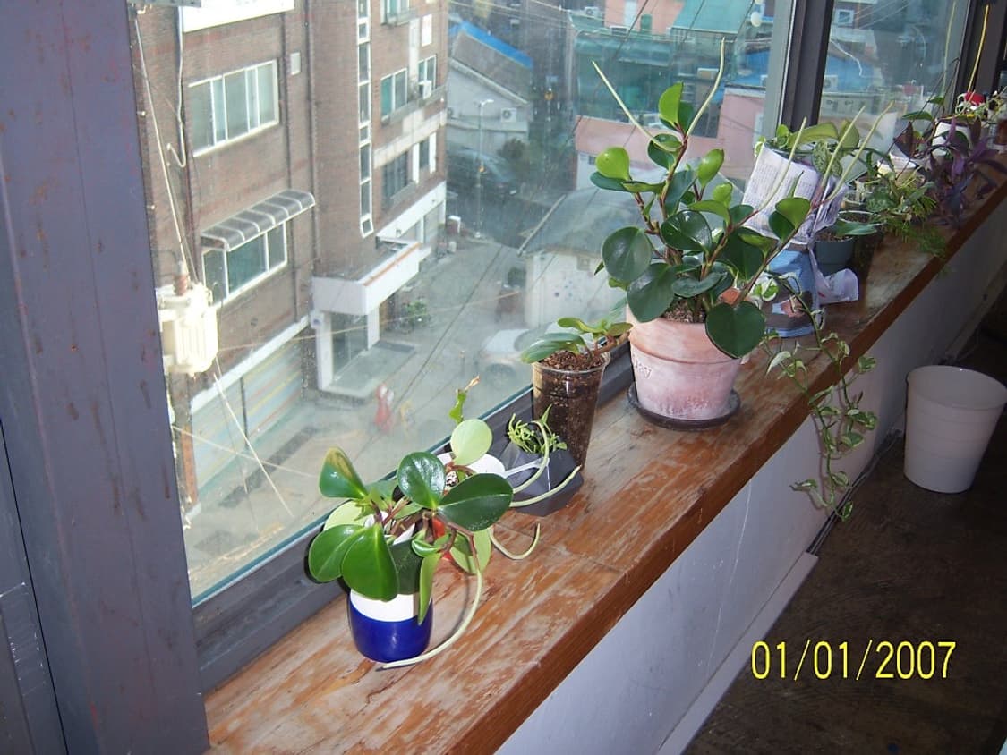 코닥 이지쉐어 V803 화이트 Kodak easyshare V803 wh 상품이미지9