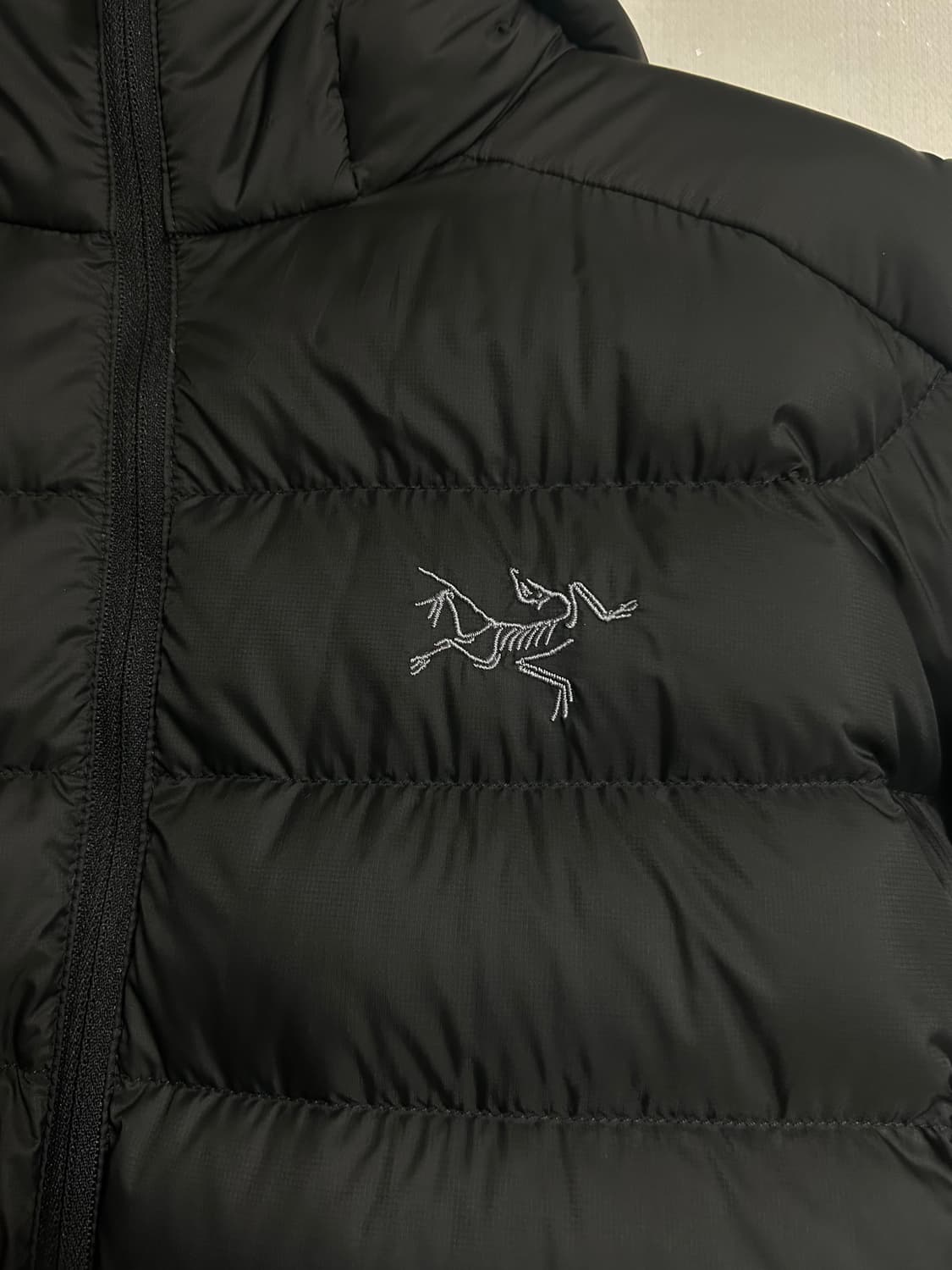 아크테릭스 세륨 후디 블랙 L (24FW) 상품이미지3