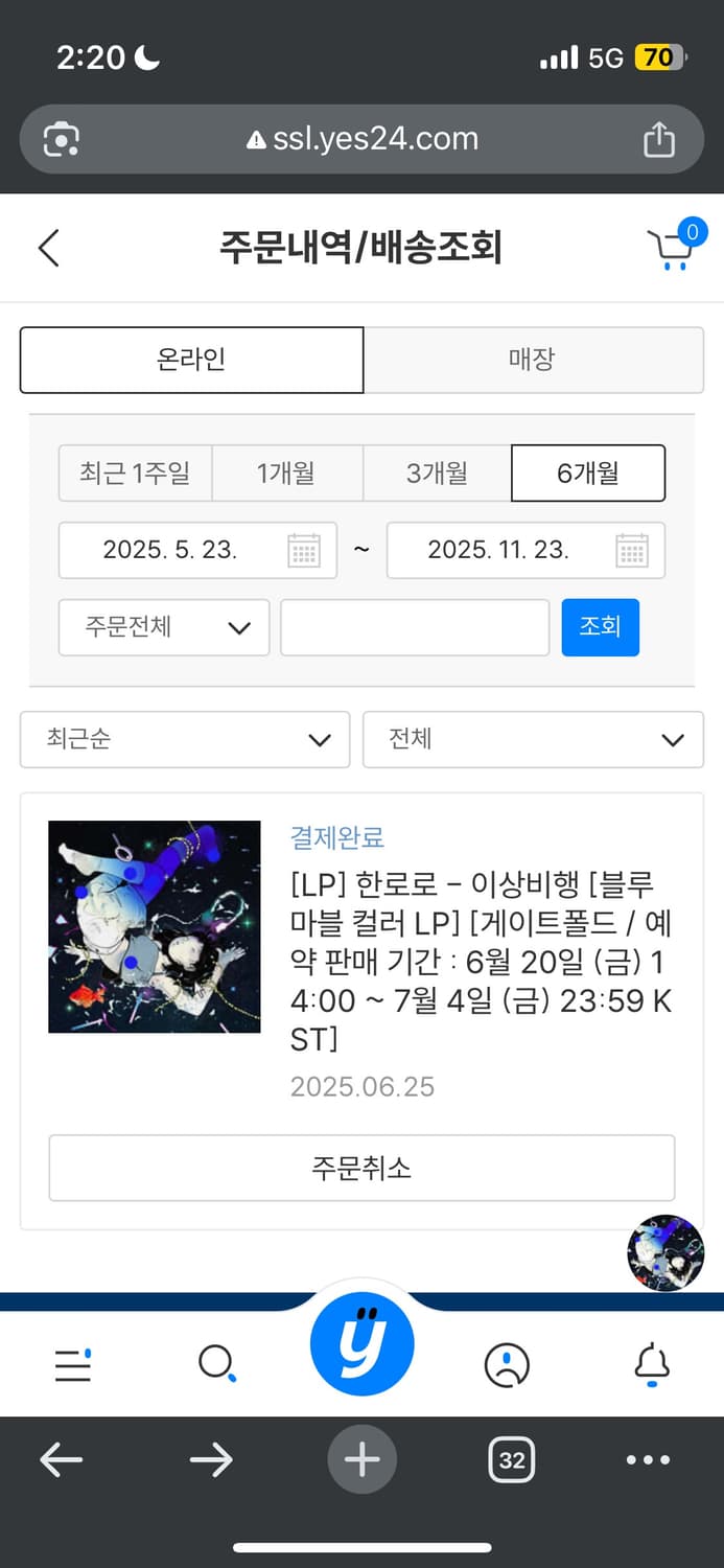 한로로 이상비행 lp 상품이미지1