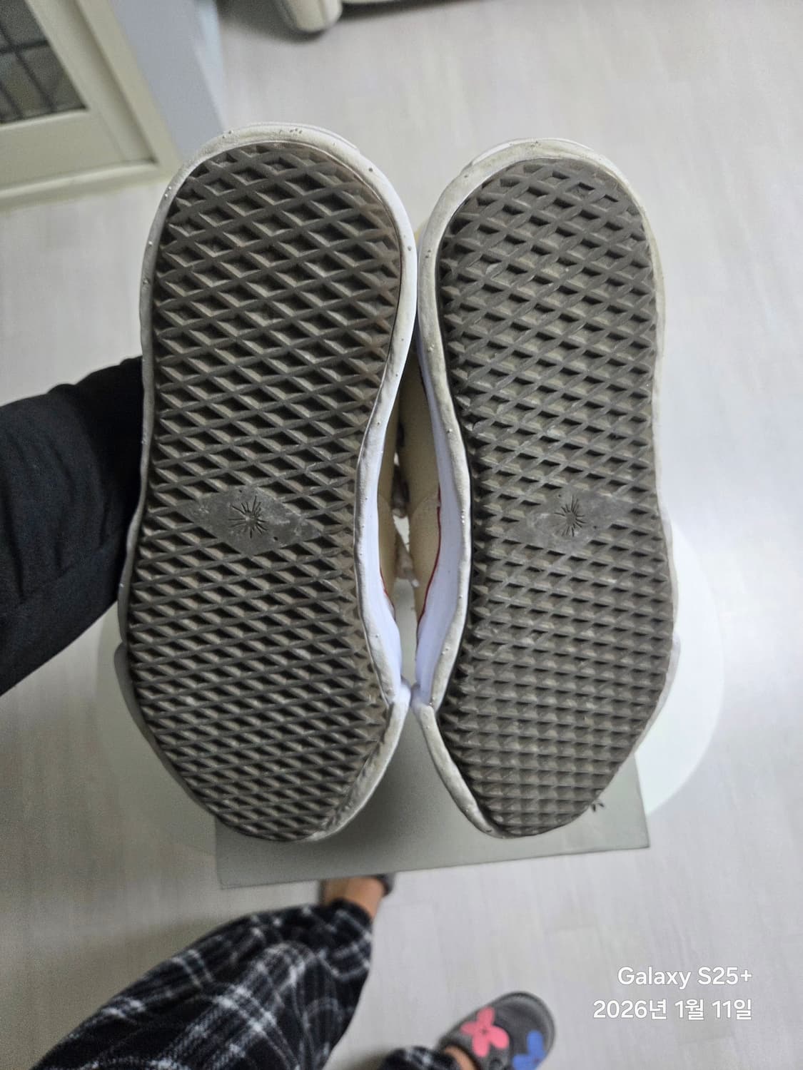 GD 미하라 캔버스 41사이즈 상품이미지5